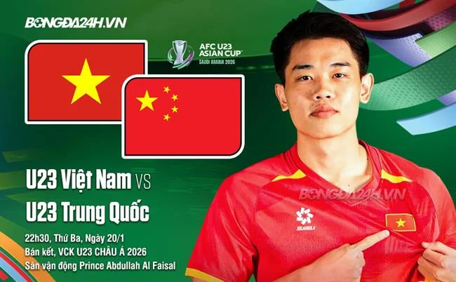 Hoàn trả cược đá gà hàng ngày/tuần